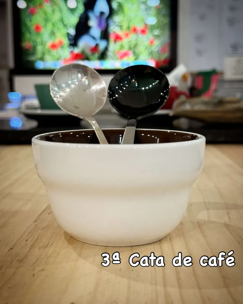 catas oficiales de cafe de especialidad